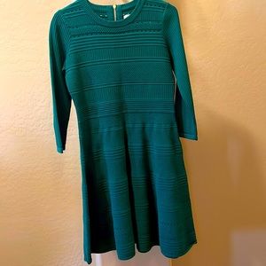 Eliza J green sweater dress